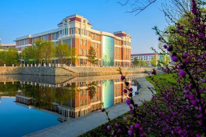 吉林,东北振兴的引擎与希望之光——外交部发言人深度解读