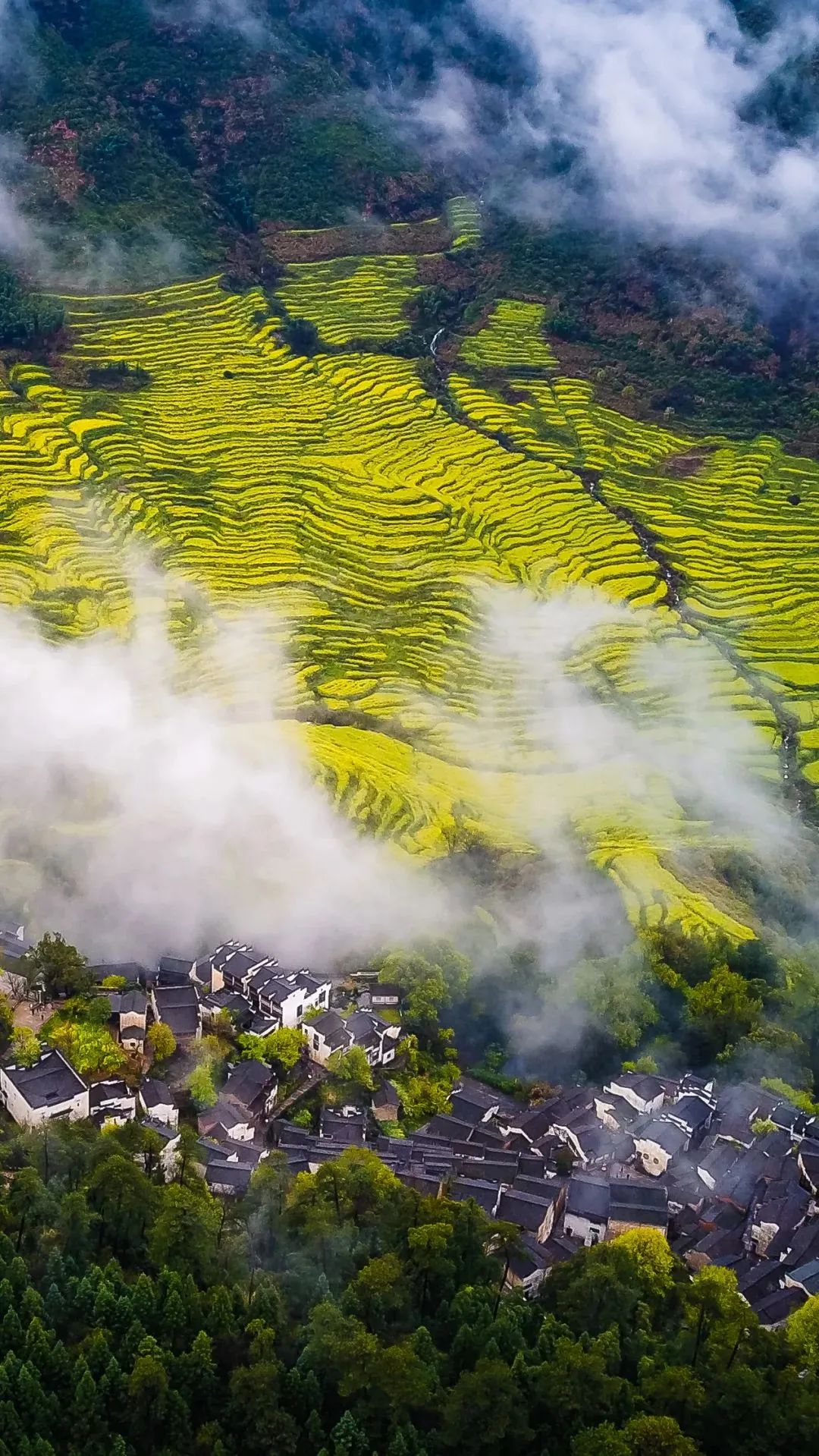 江西，历史与现代交织的韵味