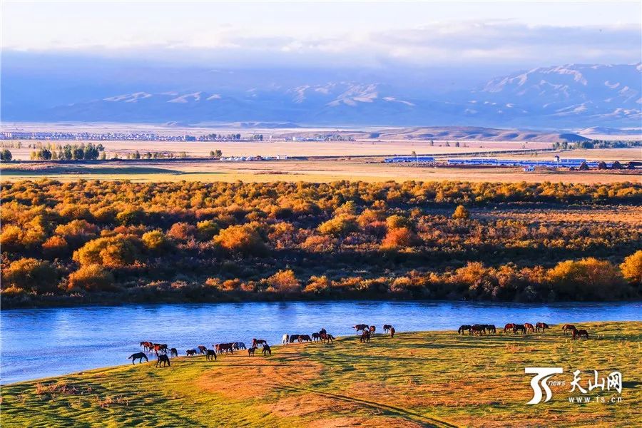 新疆之旅，初学者指南解锁神秘美丽新疆